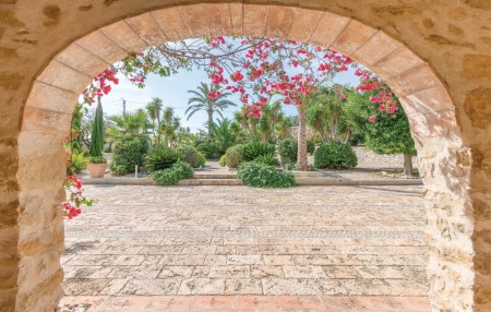 Blick in den Garten